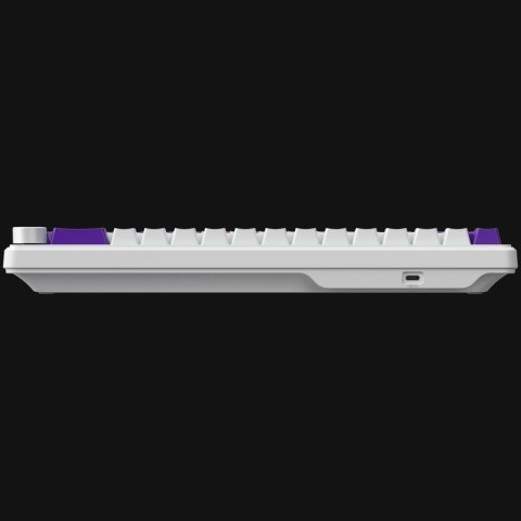 LORGAR Gaming Keyboard KBA41M Advanced Wired 65% White EN