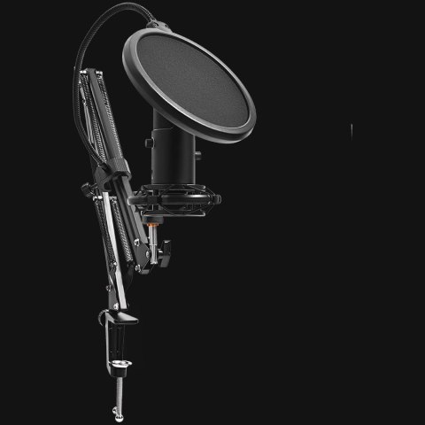 LORGAR Voicer 931, Gaming Microphone, Black, USB condenser microphone with boom arm stand, pop filter, tripod stand. including 1