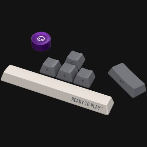 Wired mechanical gaming keyboard Advanced, 82 keys, linear Lorgar Toxic Purple switches, Hot Swap, Gasket mount, straight braid 